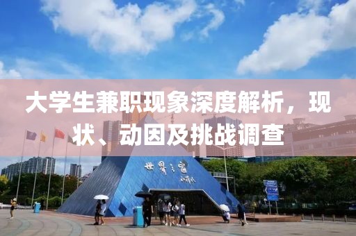 大学生兼职现象深度解析，现状、动因及挑战调查