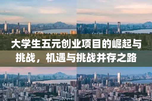 大学生五元创业项目的崛起与挑战，机遇与挑战并存之路