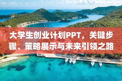 大学生创业计划PPT，关键步骤、策略展示与未来引领之路