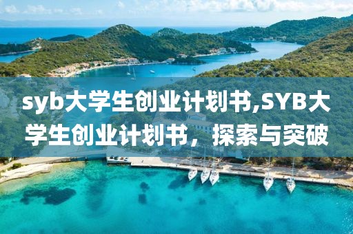 syb大学生创业计划书,SYB大学生创业计划书，探索与突破