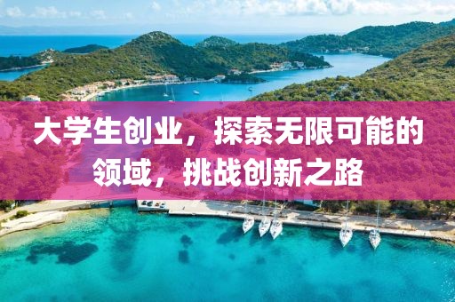 大学生创业，探索无限可能的领域，挑战创新之路