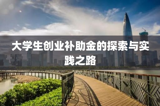 大学生创业补助金的探索与实践之路