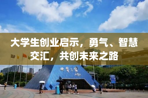 大学生创业启示，勇气、智慧交汇，共创未来之路