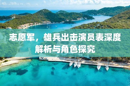 志愿军，雄兵出击演员表深度解析与角色探究