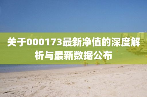 关于000173最新净值的深度解析与最新数据公布