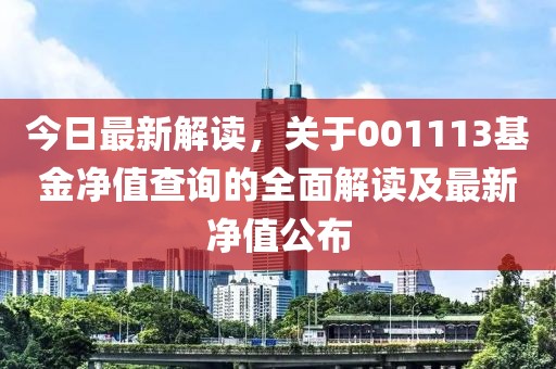 今日最新解读，关于001113基金净值查询的全面解读及最新净值公布