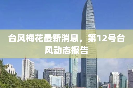 台风梅花最新消息，第12号台风动态报告