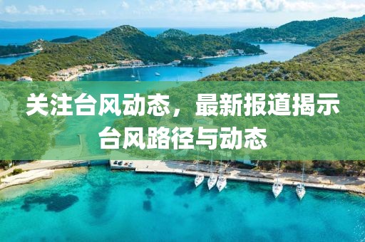 关注台风动态，最新报道揭示台风路径与动态