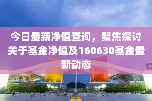 今日最新净值查询，聚焦探讨关于基金净值及160630基金最新动态