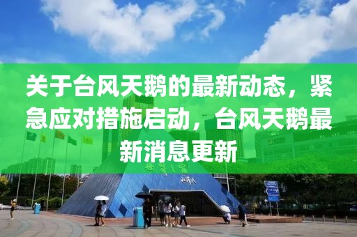 关于台风天鹅的最新动态，紧急应对措施启动，台风天鹅最新消息更新