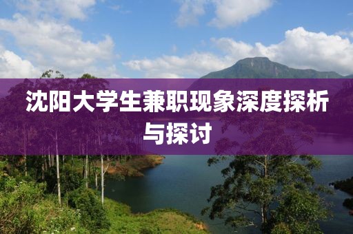 沈阳大学生兼职现象深度探析与探讨